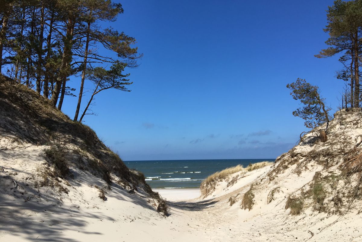 Klify, latarnia morska i plaże nad Bałtykiem – Jakie atrakcje oferuje Jastrzębia Góra